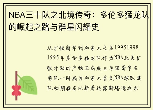 NBA三十队之北境传奇：多伦多猛龙队的崛起之路与群星闪耀史