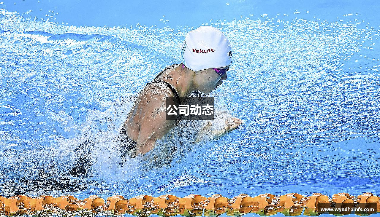 公司动态
